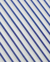 デイリーストライプシャツ